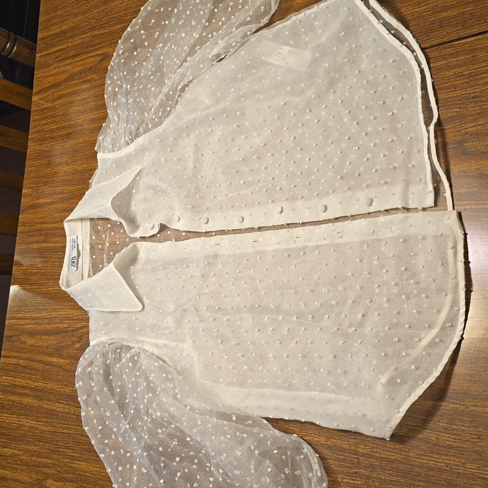 Zara Sheer Button up